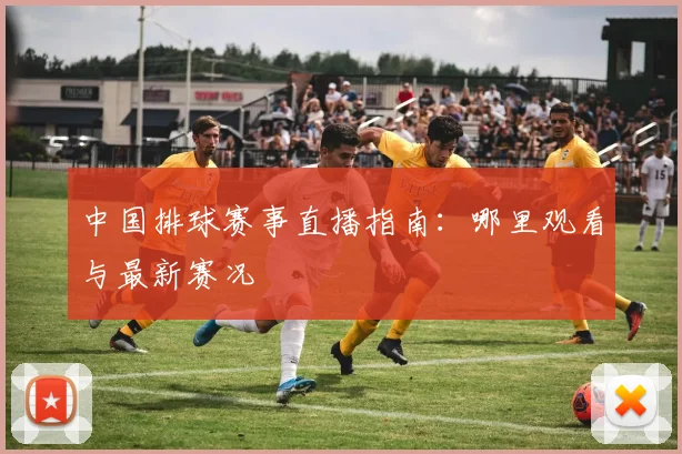 中国排球赛事直播指南:哪里观看与最新赛况