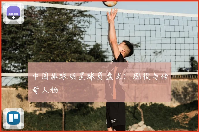 中国排球明星球员盘点:现役与传奇人物