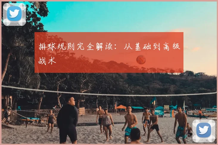 排球规则完全解读:从基础到高级战术