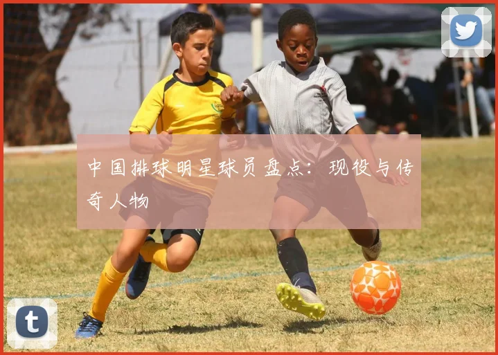 中国排球明星球员盘点:现役与传奇人物