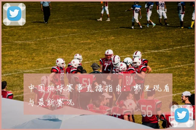 中国排球赛事直播指南:哪里观看与最新赛况